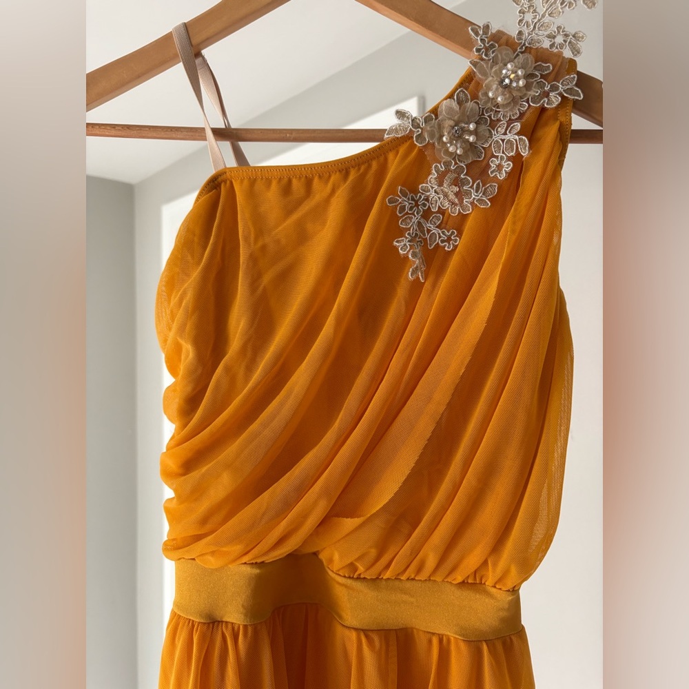 “Clarity” Weissman Dance Costume - image 7